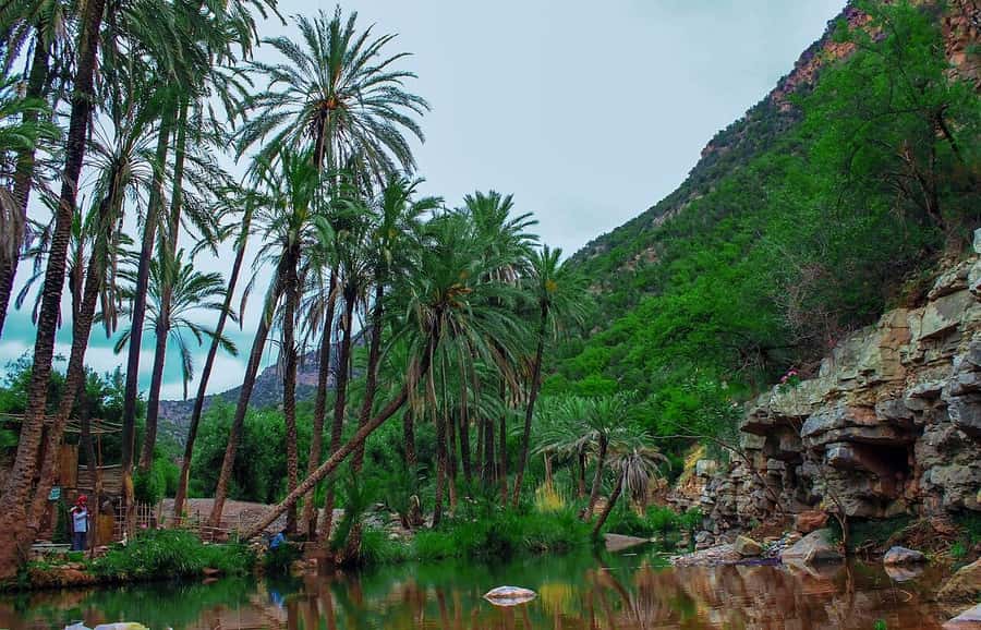 Agadir or Taghazout: Paradise Valley Atlas Mountain Trip - Mountain villages and wide views