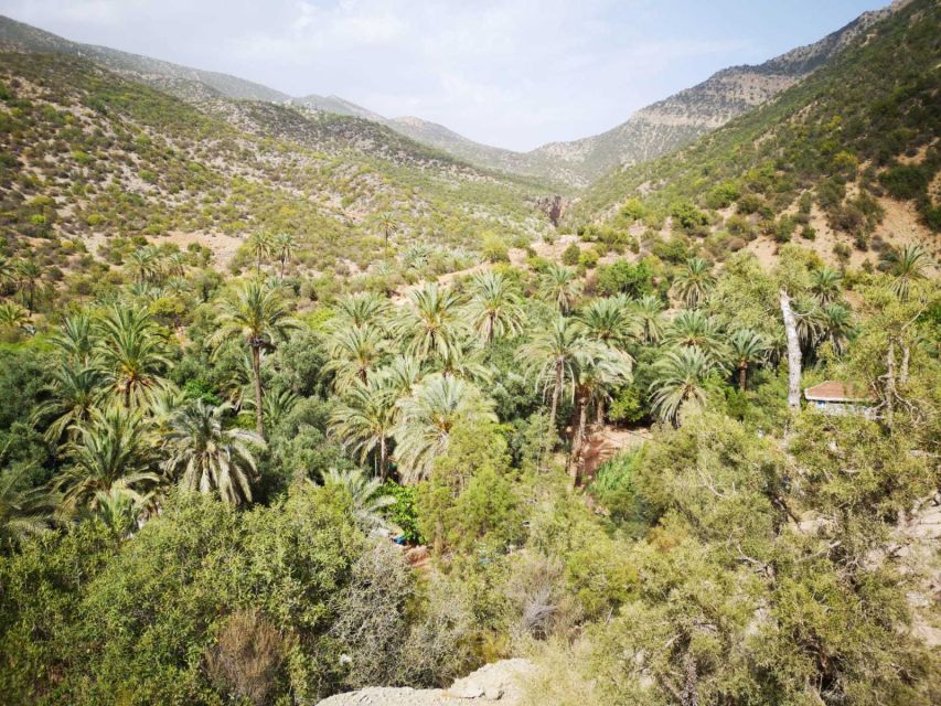 Agadir or Taghazout: Paradise Valley Atlas Mountains Tour - Is Paradise Valley worth $21?