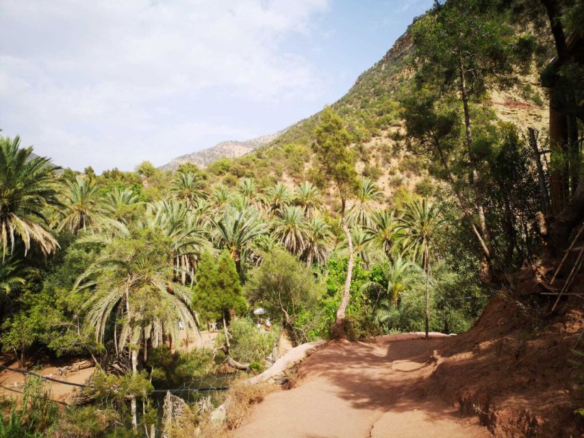 Agadir or Taghazout: Paradise Valley Atlas Mountains Tour - The botanical garden and argan oil stop