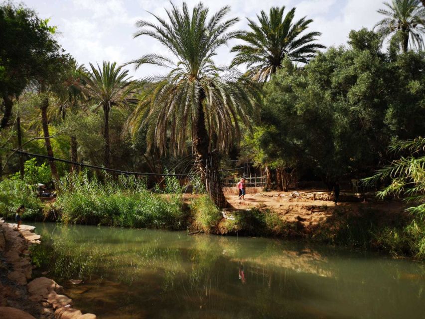 Agadir or Taghazout: Paradise Valley Atlas Mountains Tour - Who will enjoy this outing most?