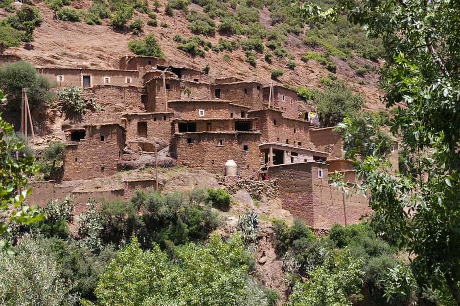 Agadir or Taghazout: Paradise Valley & Atlas Mountains Trip - Who should book this half-day trip?