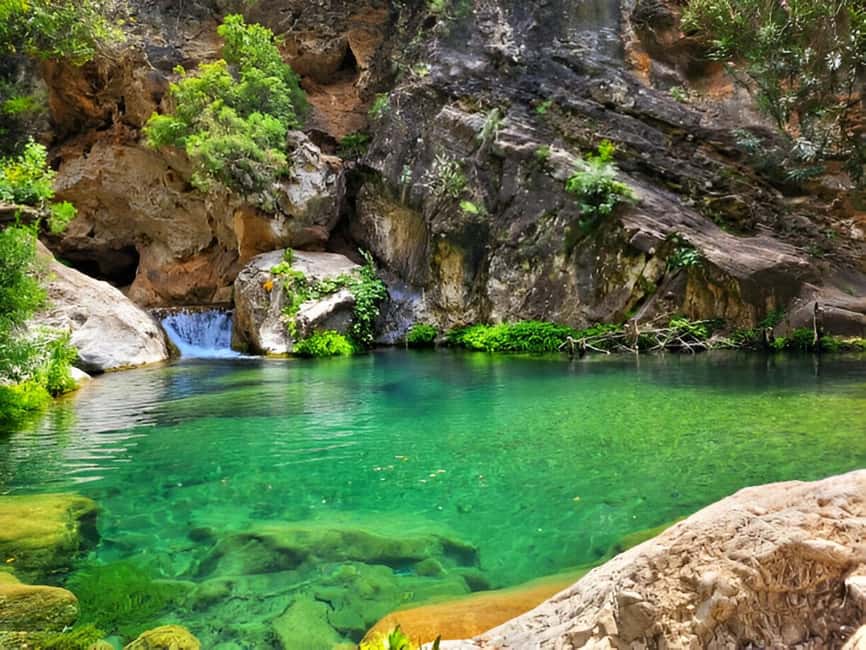 Agadir or Taghazout: Paradise Valley with Lunch & Transfers - The drive from Agadir takes you through the countryside