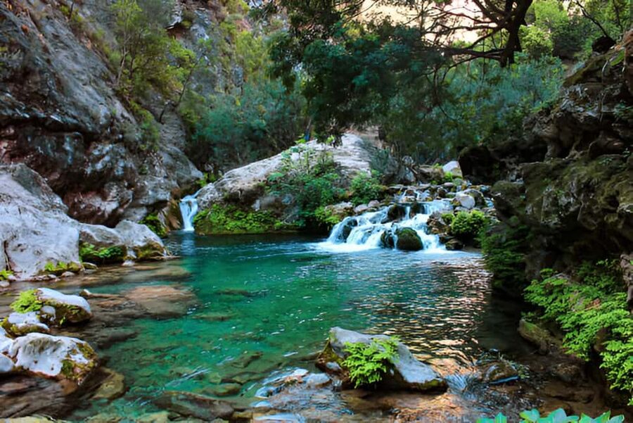 Agadir or Taghazout: Paradise Valley with Lunch & Transfers - Following the Honey Road of Immouzar