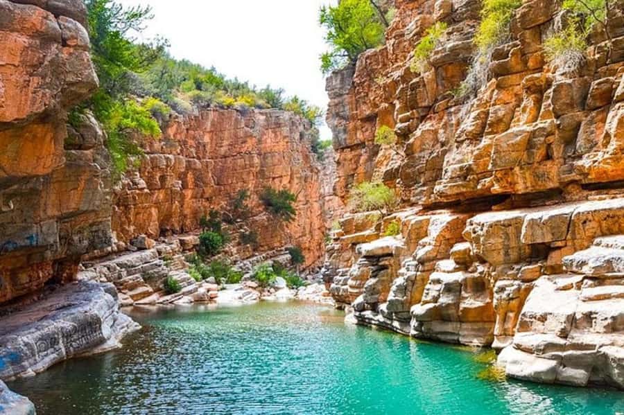 Agadir: Paradise Valley & Desert Sand Dunes with Camel Ride - Alma and the small argan-oil garden