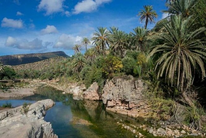 Agadir Paradise Valley Guided Tour Swimming & Breakfast - Anti-Atlas viewpoints and the changing scenery