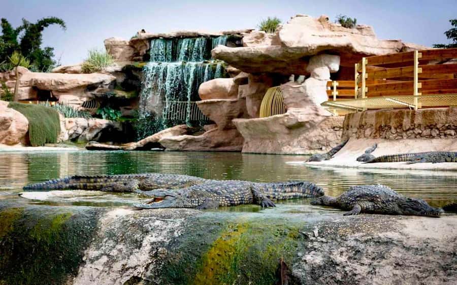 Agadir: Quad Safari with Crocoparc Optional - What this Agadir quad safari is really like