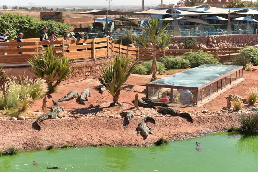 Agadir: Quad Safari with Crocoparc Optional - Crocoparc and its 300 Nile crocodiles