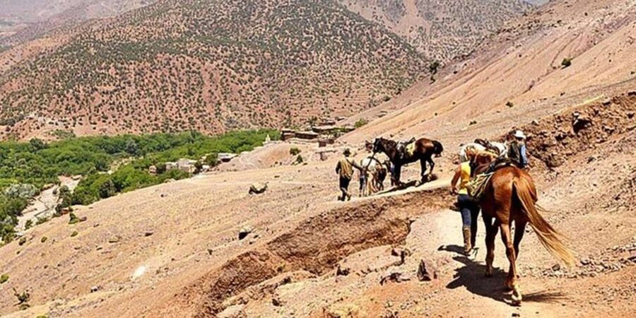 Agadir: Quad Safari with Crocoparc Optional - Guides, children, and the small-group advantage