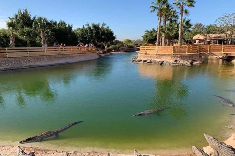 Agadir: Quad Safari with Crocoparc Optional - What the $29 price includes