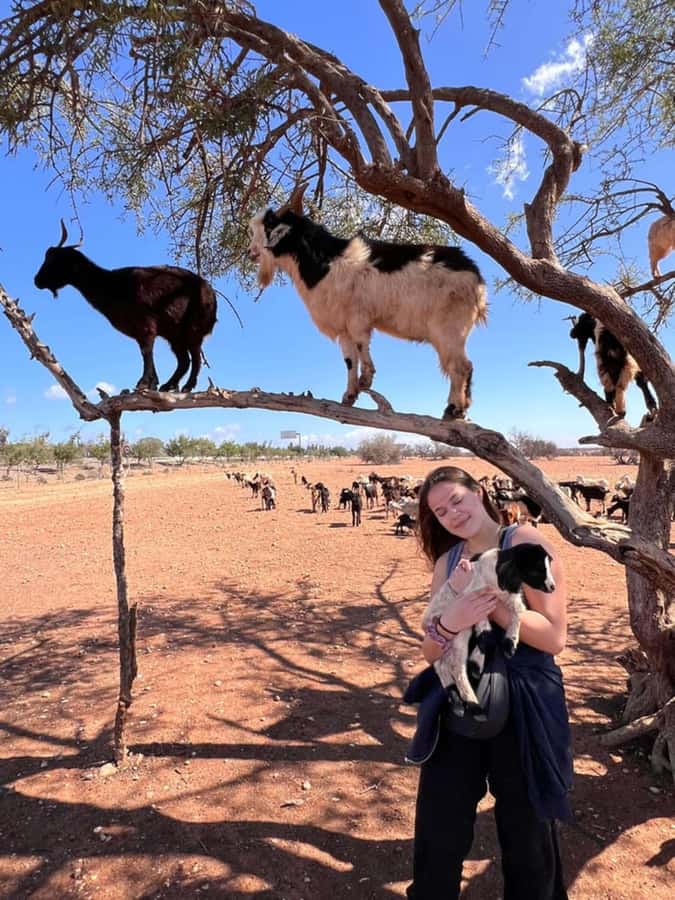 Agadir: Quad Safari with Crocoparc Optional - Timing, heat, and what to pack