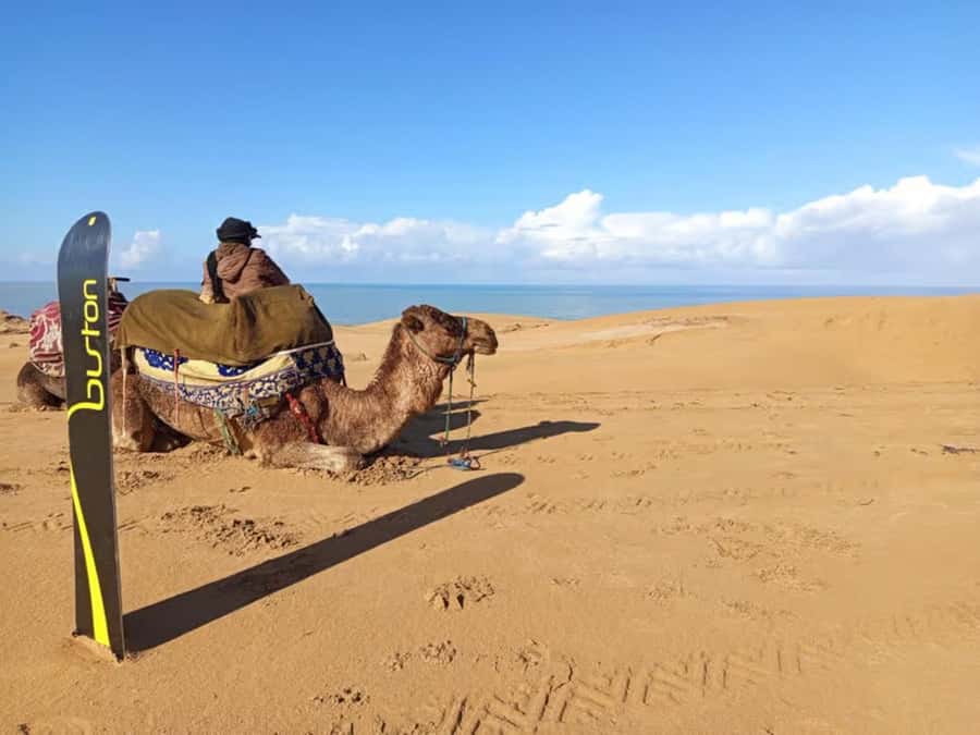 Agadir Sinec Canyon Desert Tour + Optional Sandboarding - Should you book the Sinec Canyon tour?