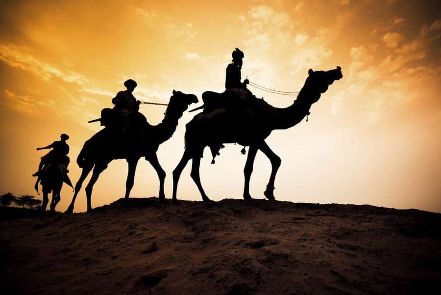 Agadir/Taghazout: Camel Rides with Tea Drink and Transfers - Small details that make the ride better