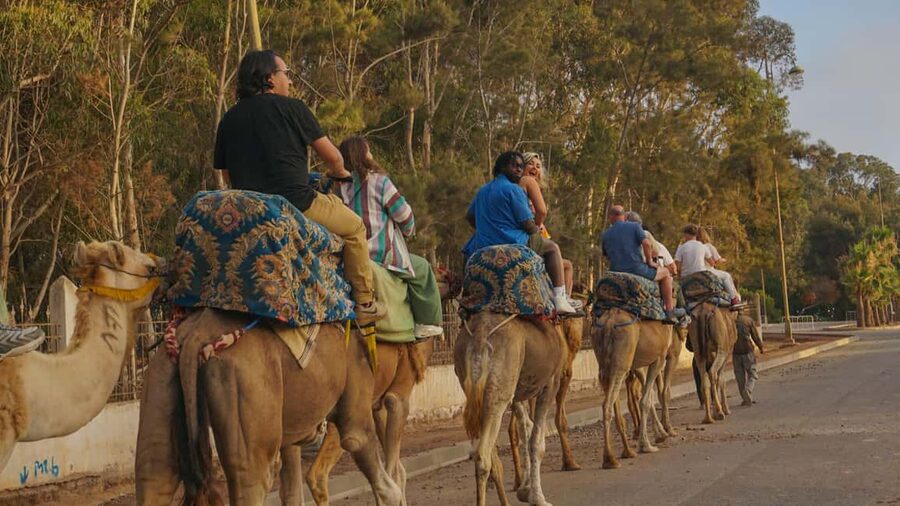Agadir/Taghazout: Camel Rides with Tea Drink and Transfers - The two-hour route toward the Souss River