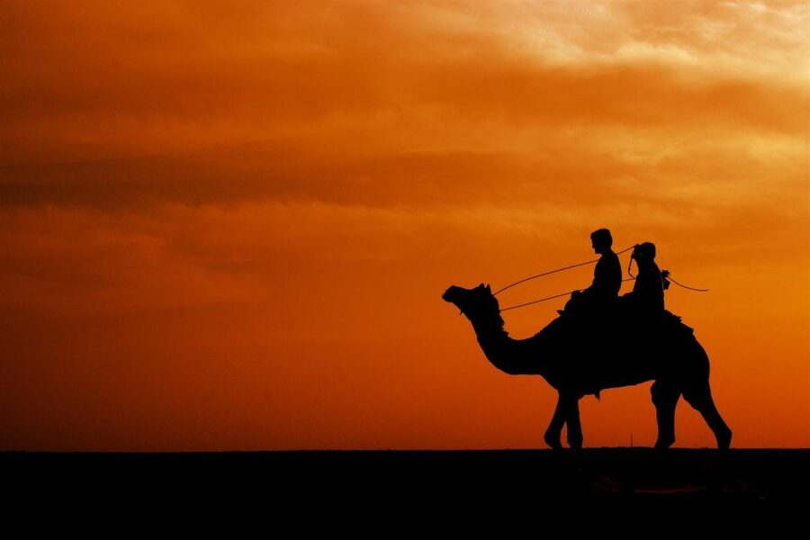 Agadir/Taghazout: Camel Rides with Tea Drink and Transfers - Flamingos, open views, and realistic expectations