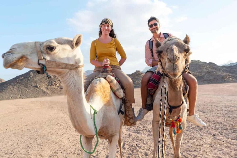 Agadir/Taghazout: Camel Rides with Tea Drink and Transfers - Photo stops and the human touch