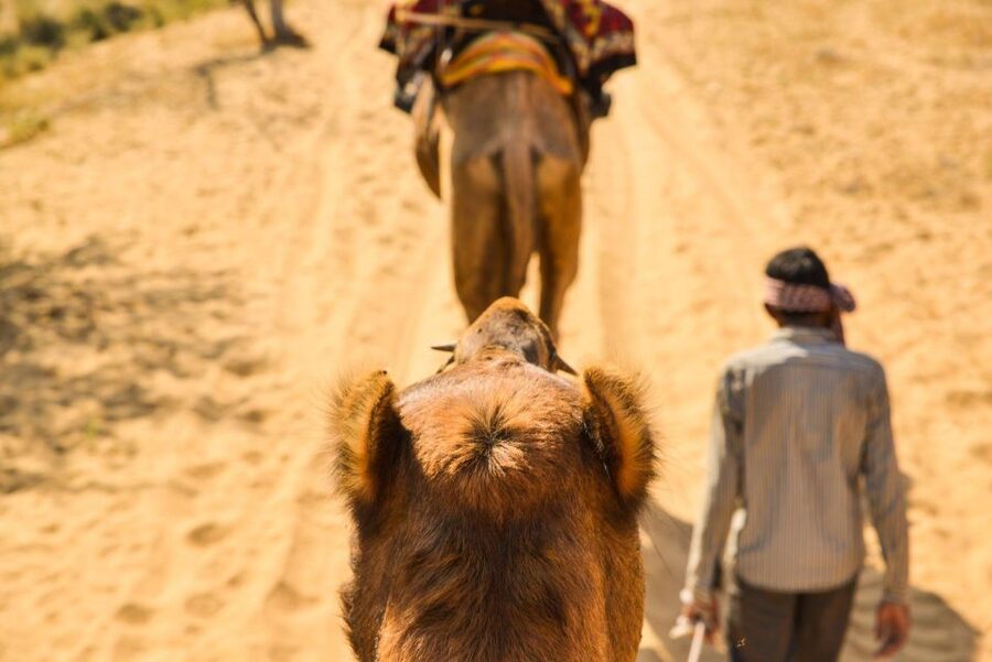 Agadir/Taghazout: Camel Rides with Tea Drink and Transfers - Mint tea, biscuits, and a simple Moroccan finish