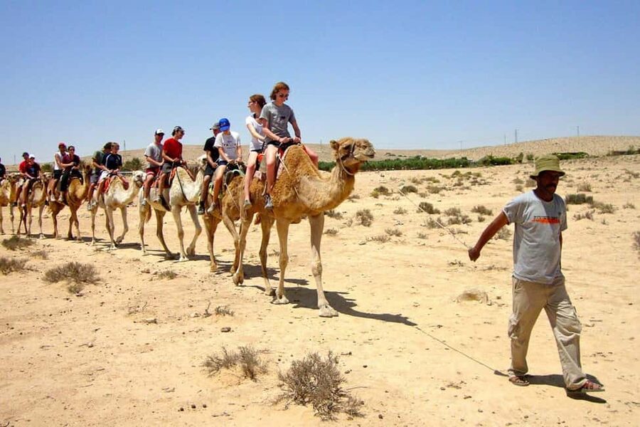 Agadir/Taghazout: Camel Rides with Tea Drink and Transfers - Who should book this activity?