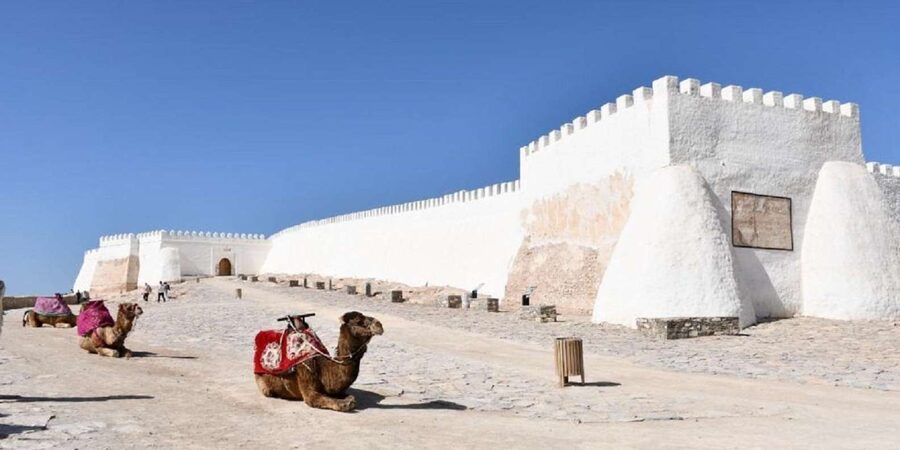 Agadir/Taghazout: Old Medina of Coco Polizzi and Agadir Tour - Learning about argan oil before you shop