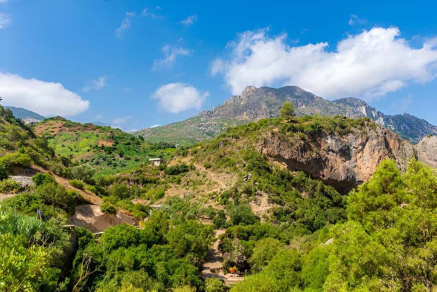 Agadir/Taghazout: Paradise Valley Tour to Atlas Mountains - Pickup times from Agadir, Tamraght, and Taghazout