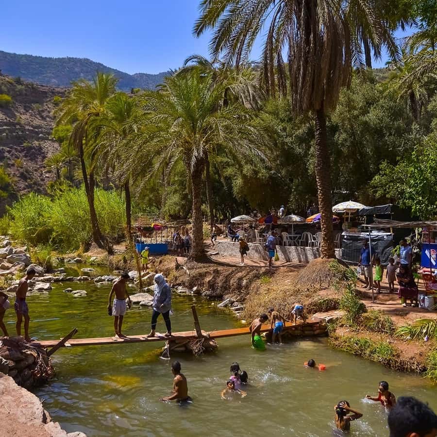 Agadir/Taghazout/Port: Paradise Valley Atlas Mountains Trip - What the botanic garden adds