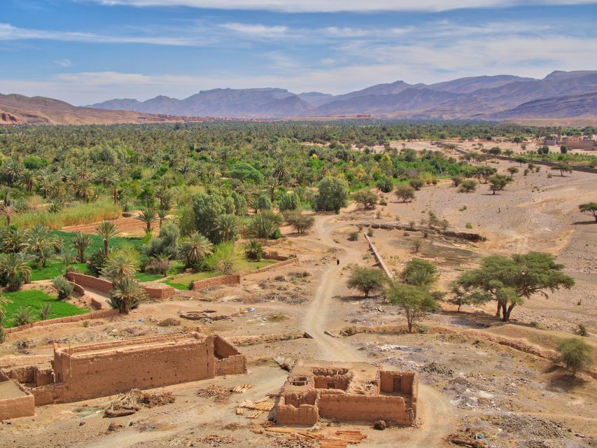 Agadir/Taghazout/Port: Paradise Valley Atlas Mountains Trip - Visiting a women’s argan cooperative