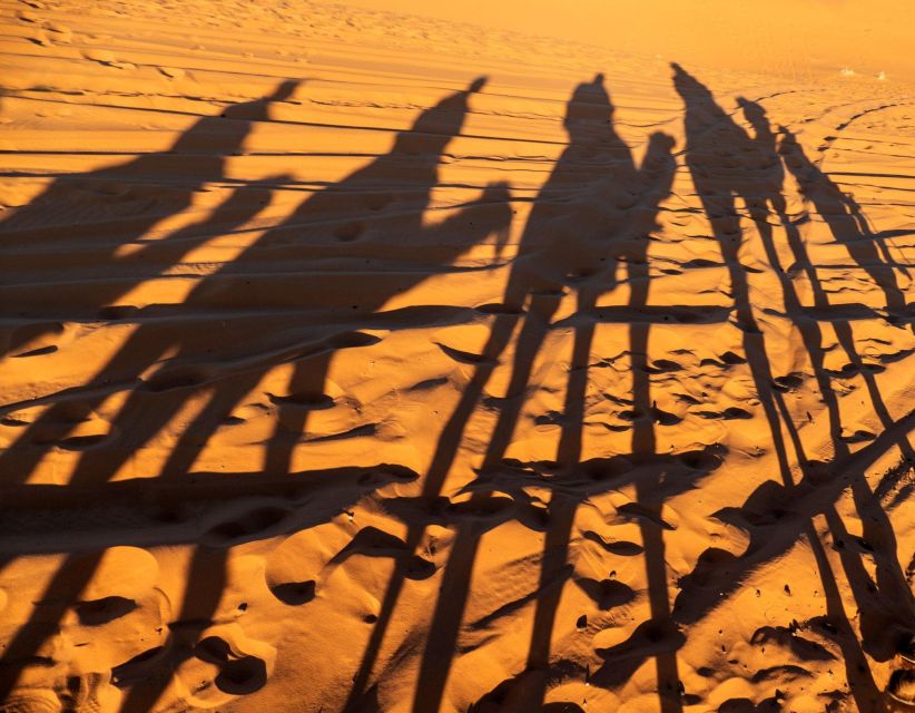 Agadir/Taghazout/Port: Sahara Desert 4x4 Day Trip with Lunch - Tifnit dunes and the 4x4 section