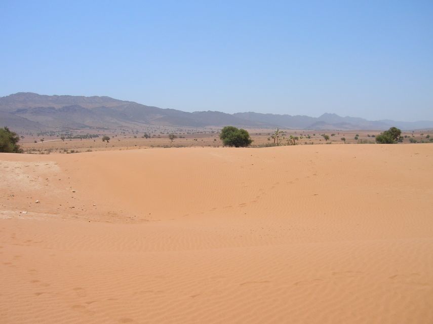 Agadir/Taghazout/Port: Sahara Desert 4x4 Day Trip with Lunch - Argan oil and pottery stops