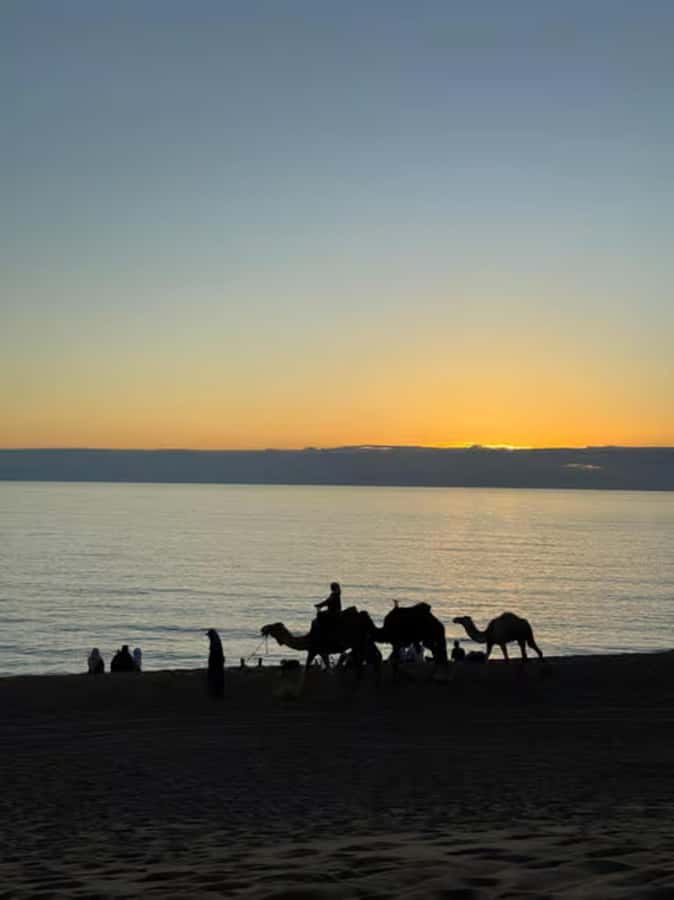Agadir/Taghazout : Quad Bike & Camel Ride On The Beach - Booking flexibility and useful details