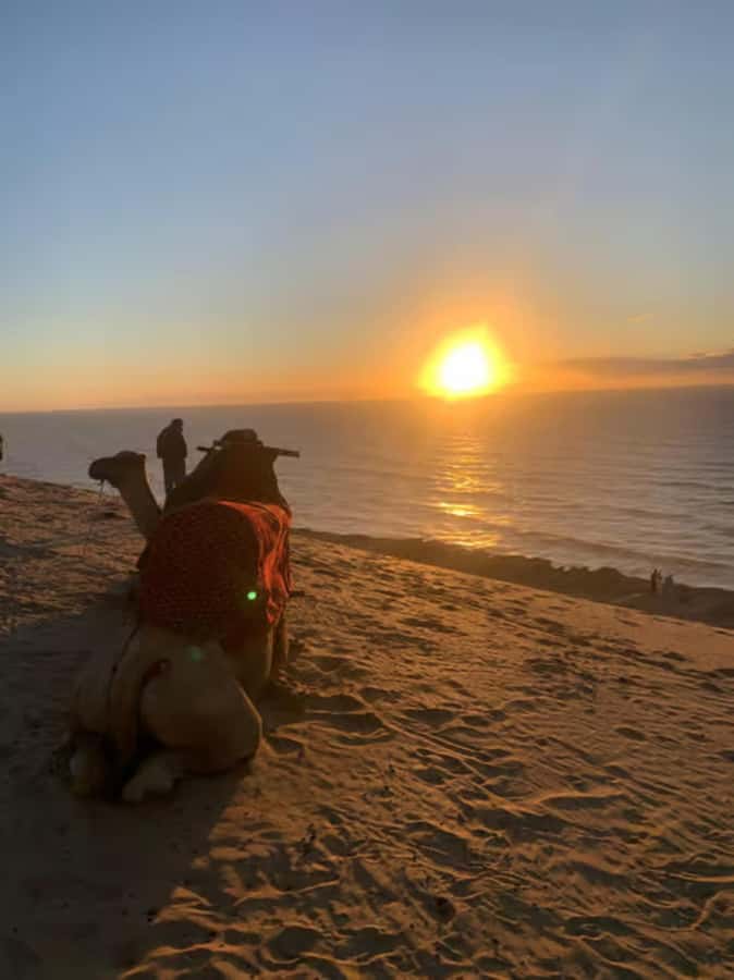 Agadir/Taghazout : Quad Bike & Camel Ride On The Beach - Guides who keep beginners moving