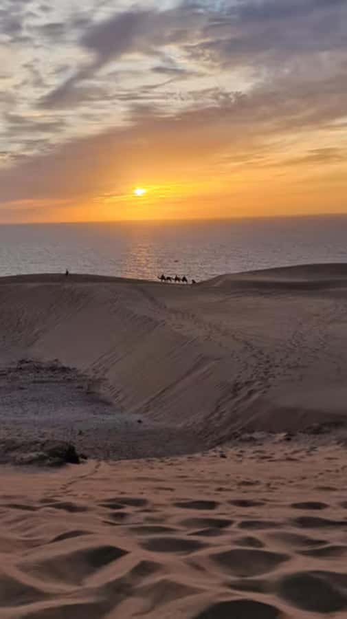Agadir/Taghazout : Quad Bike & Camel Ride On The Beach - How to prepare for a more comfortable ride