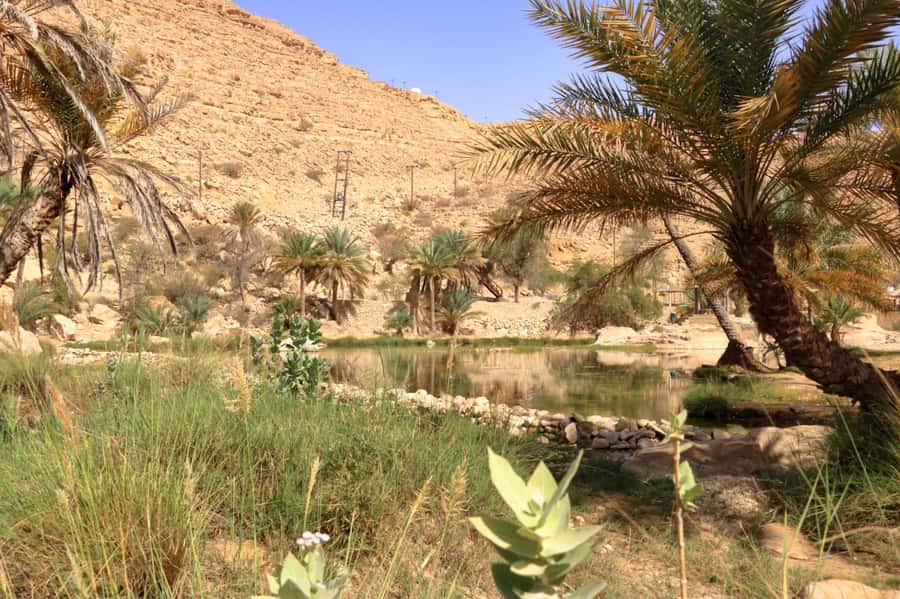 Agadir/Taghazout/Tamraght: Paradise Valley Best Tour - What to pack for Paradise Valley
