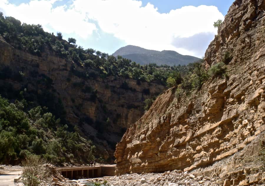 Agadir/Taghazout/Tamraght: Paradise Valley Best Tour - Who will enjoy this half-day trip