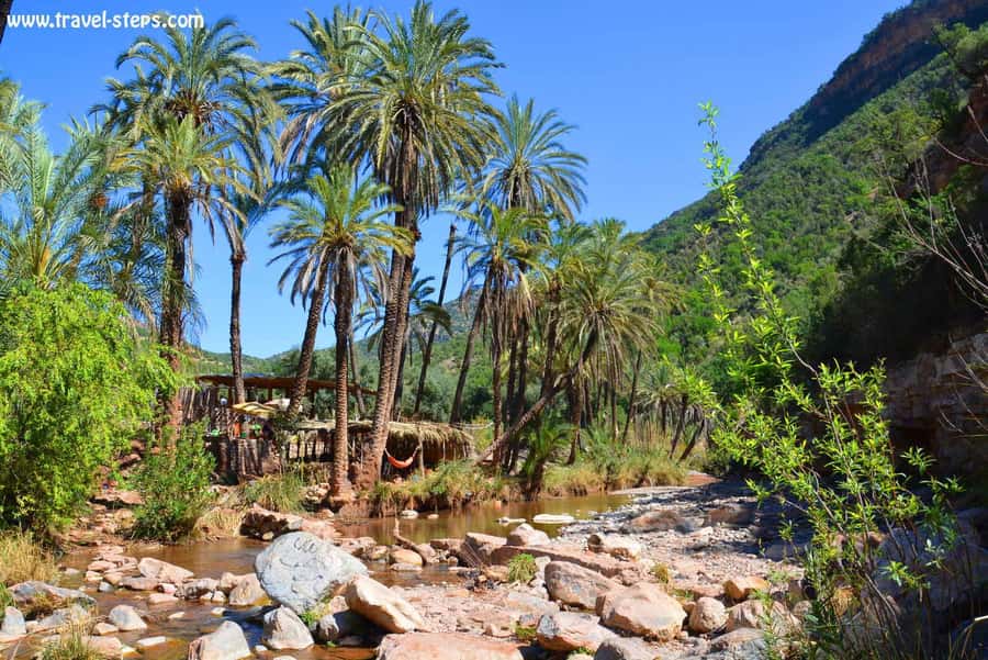 Agadir/Taghazout/Tamraght: Paradise Valley Best Tour - The road reveals a different side of Souss-Massa
