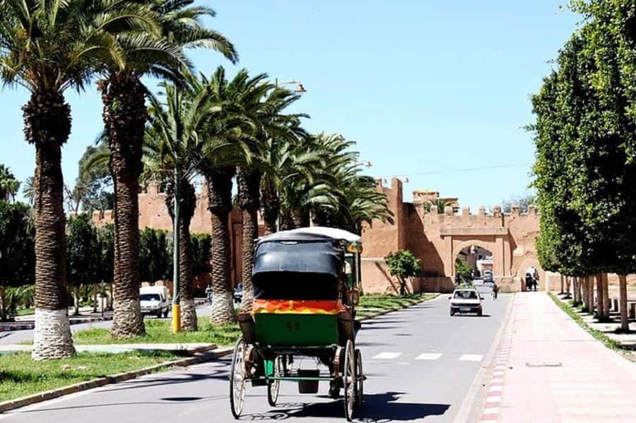 Agadir: Taroudant Oasis and Tiout Day Trip with Lunch Option - Tiout and the Kasbah above 2,500 palms
