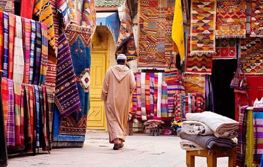 Agadir: Taroudant Oasis and Tiout Day Trip with Lunch Option - Who will enjoy this day trip most