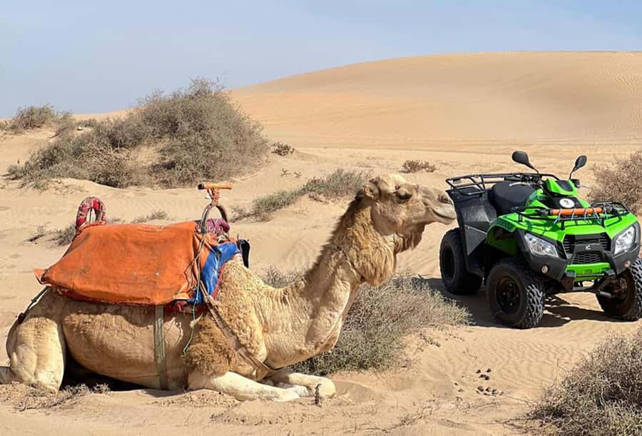 Agadir to Tifnit Desert: Quad Biking Tour with Sandboarding - Sandboarding adds fun, and a little effort