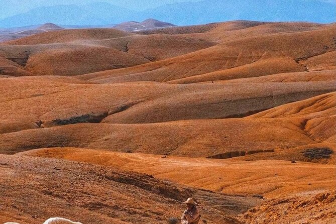 Agafay Desert: Dinner + Show with Quad Bike & Sunset Camel Ride - Is $35.28 good value?