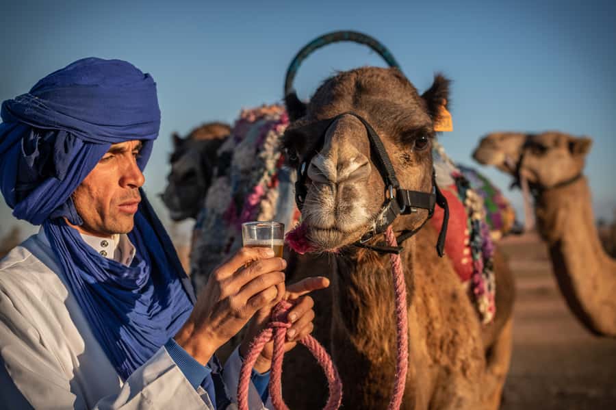 Agafay Desert: Quad Bike and Camel Ride Adventure Tour - Lunch, tea, and a welcome village pause