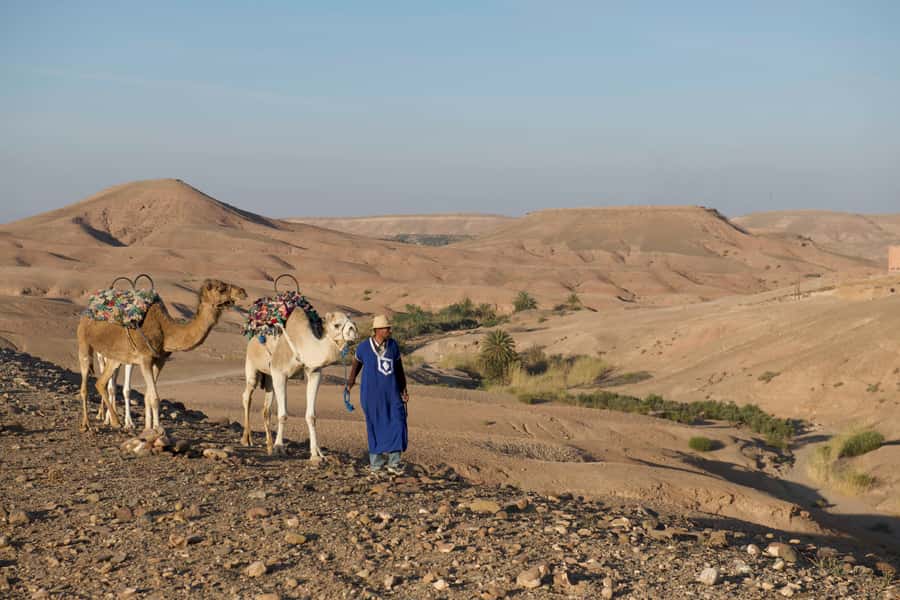 Agafay Desert: Quad Bike and Camel Ride Adventure Tour - What the equipment and instruction mean for beginners