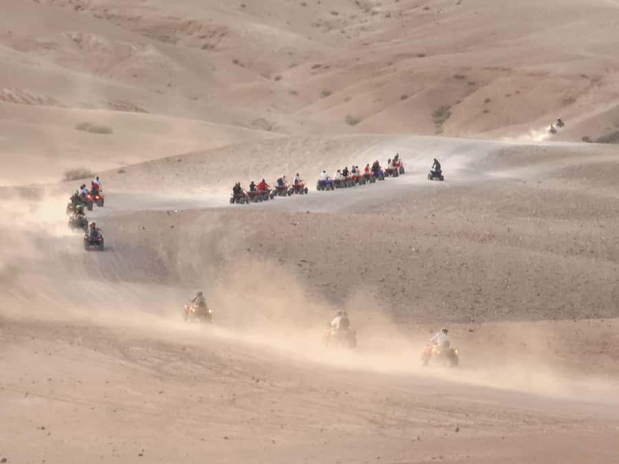 Agafay Desert: Quad Biking, Camel Ride, Lunch - Who should book this outing?