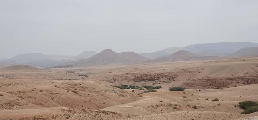 Agafay Desert: Quad Biking, Camel Ride, Lunch - Mint tea and the argan oil stop