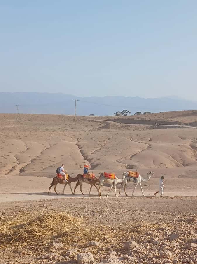 Agafay Desert: Quad Biking, Camel Ride, Lunch - Guides who shape the day