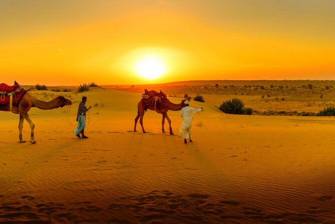 Agafay Desert Sunset, Camel Ride and Dinner from Marrakech - The argan cooperative adds a useful local stop