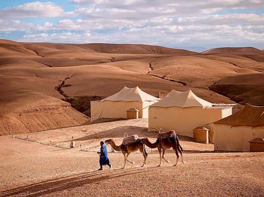 Agafay: Half-Day Rocky Desert Quad & Camel Ride with Lunch - Is $35 a good price for six hours?