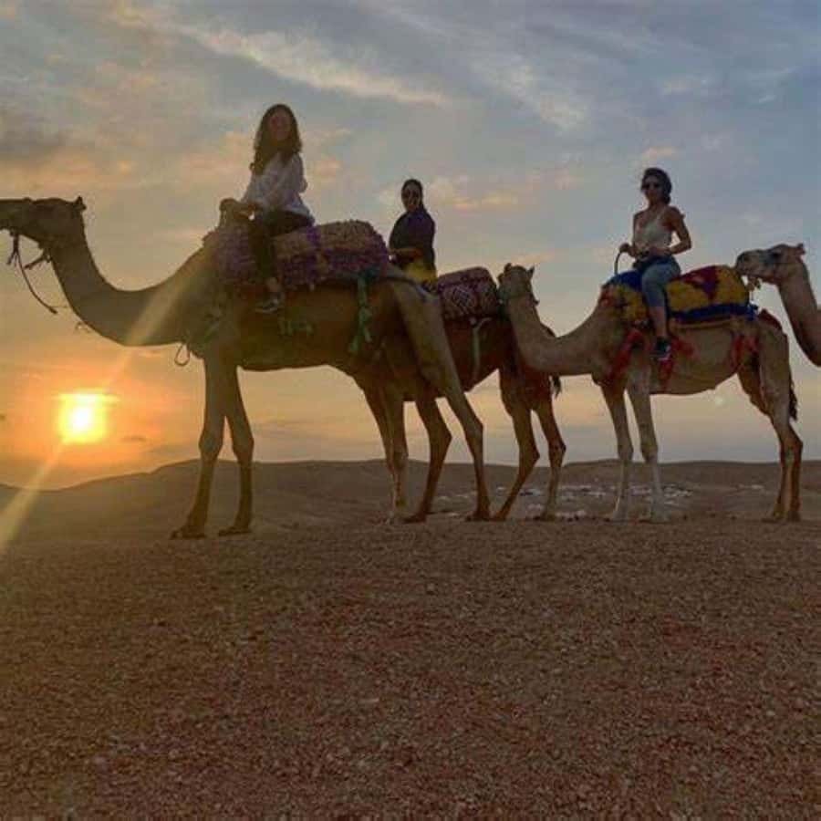 Agafay: Quad, Camel Ride & Dinner Show from Marrakech - Who should book this Agafay outing