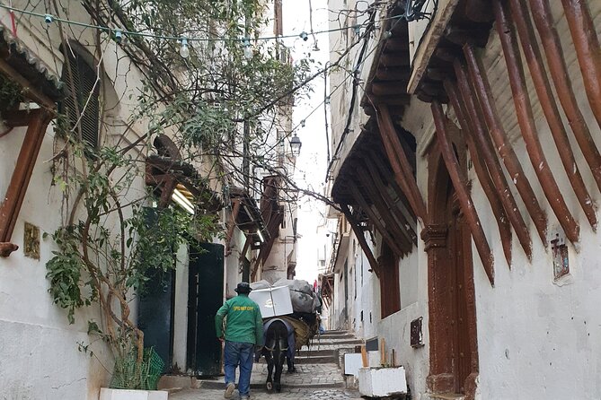 Algiers Casbah Tour - Walking the old Medina