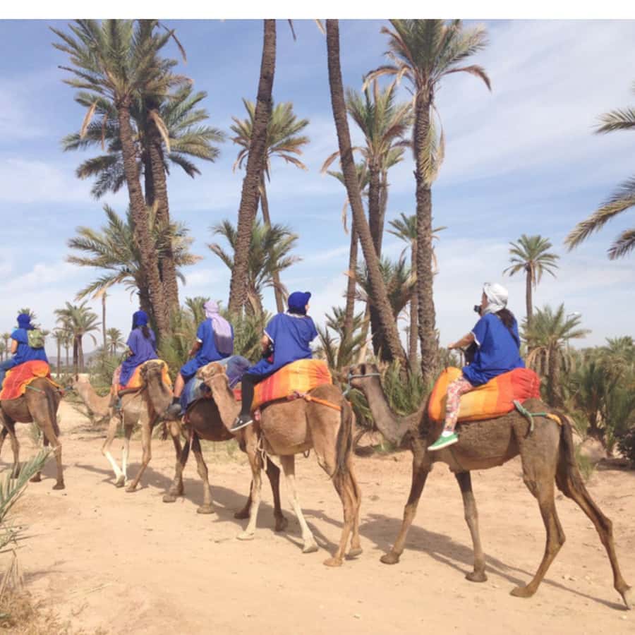 Around Marrakech: Camel Ride in Palm Groves including Tea - Key points to know before you book