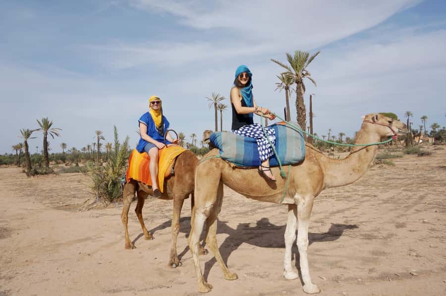 Around Marrakech: Camel Ride in Palm Groves including Tea - FAQ
