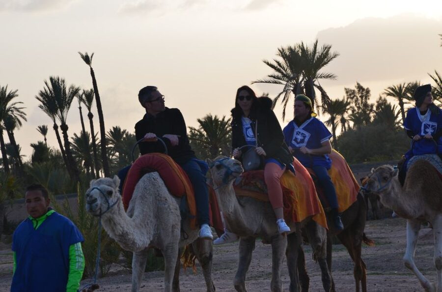 Around Marrakech: Camel Ride in Palm Groves including Tea - Transport, timing, and the quad-bike choice