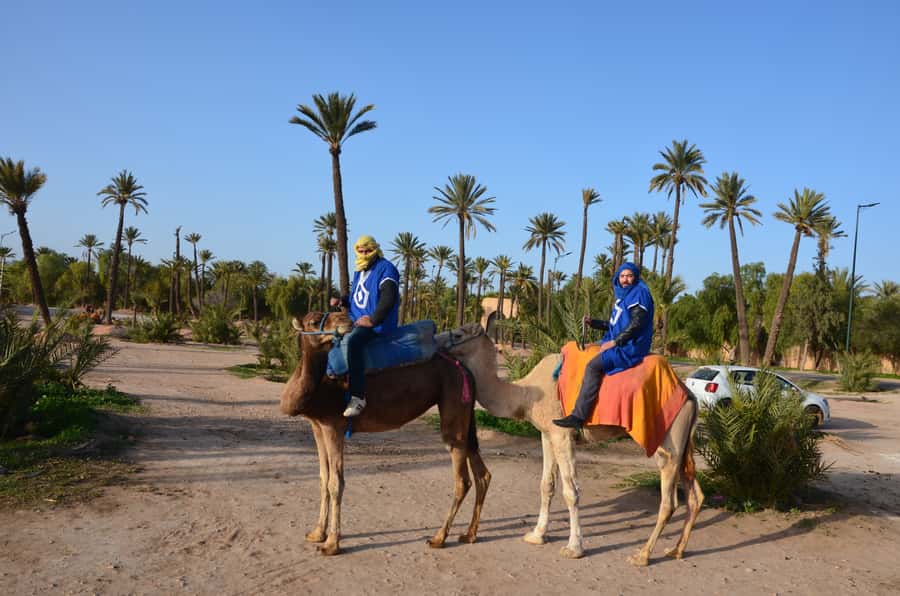 Around Marrakech: Camel Ride in Palm Groves including Tea - Who will enjoy this outing most
